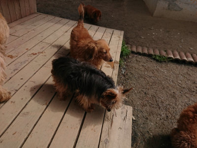 f:id:roukenhome-ann:20190403185252j:plain f:id:roukenhome-ann:20190403185252j:plain