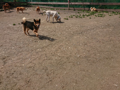 f:id:roukenhome-ann:20190403185259j:plain f:id:roukenhome-ann:20190403185259j:plain