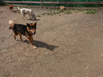 f:id:roukenhome-ann:20190403185305j:plain f:id:roukenhome-ann:20190403185305j:plain