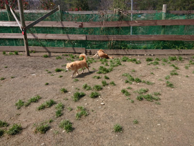 f:id:roukenhome-ann:20190403185335j:plain f:id:roukenhome-ann:20190403185335j:plain