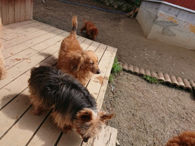f:id:roukenhome-ann:20190403185342j:plain f:id:roukenhome-ann:20190403185342j:plain