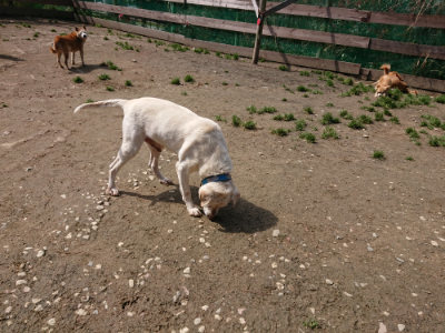 f:id:roukenhome-ann:20190403185407j:plain f:id:roukenhome-ann:20190403185407j:plain