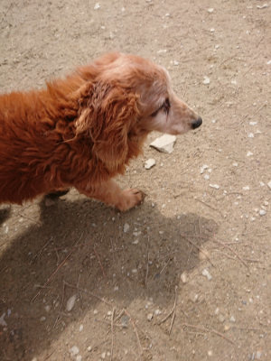 f:id:roukenhome-ann:20190403185412j:plain f:id:roukenhome-ann:20190403185412j:plain