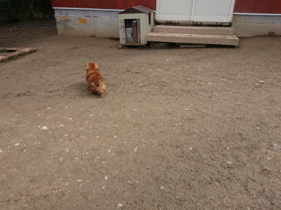 f:id:roukenhome-ann:20190403190244j:plain