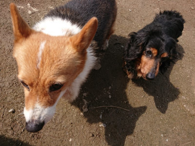 f:id:roukenhome-ann:20190403190252j:plain