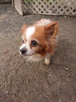 f:id:roukenhome-ann:20190403190308j:plain