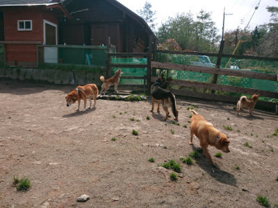 f:id:roukenhome-ann:20190403190331j:plain
