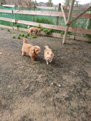 f:id:roukenhome-ann:20190403190338j:plain