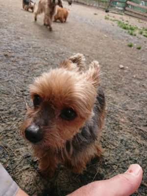 f:id:roukenhome-ann:20190403190426j:plain
