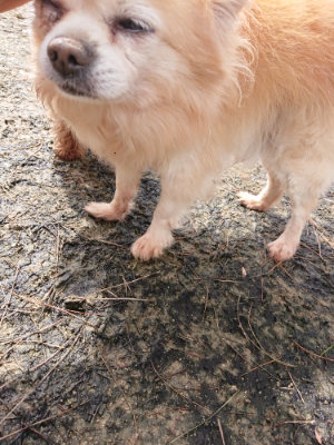 f:id:roukenhome-ann:20190403190529j:plain