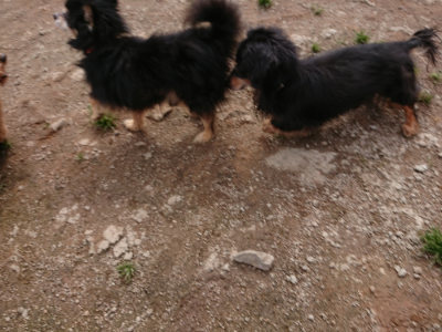 f:id:roukenhome-ann:20190403190725j:plain