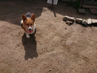 f:id:roukenhome-ann:20190403190745j:plain