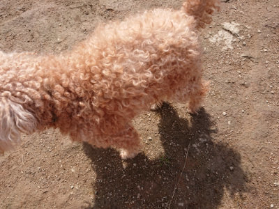 f:id:roukenhome-ann:20190403190811j:plain