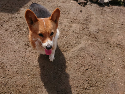 f:id:roukenhome-ann:20190403190834j:plain