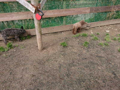 f:id:roukenhome-ann:20190403190840j:plain