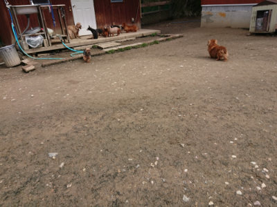 f:id:roukenhome-ann:20190403190916j:plain