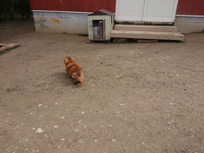 f:id:roukenhome-ann:20190403191753j:plain