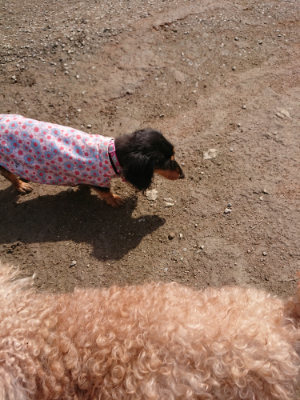 f:id:roukenhome-ann:20190403191758j:plain