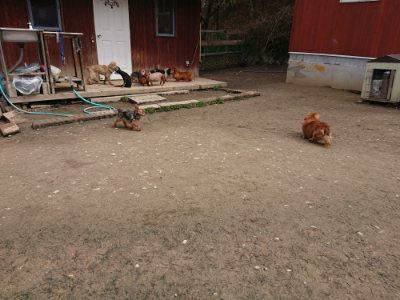 f:id:roukenhome-ann:20190403191805j:plain