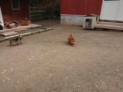 f:id:roukenhome-ann:20190403191822j:plain