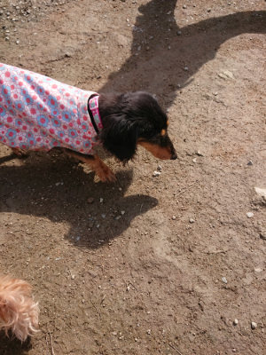 f:id:roukenhome-ann:20190403191830j:plain