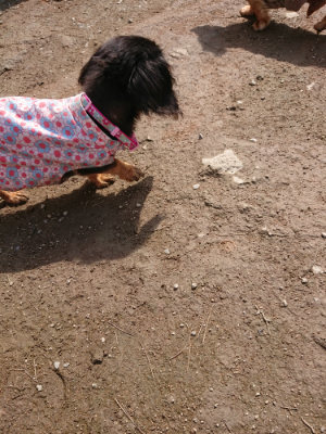 f:id:roukenhome-ann:20190403191838j:plain