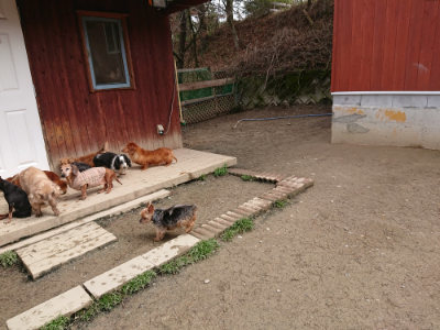 f:id:roukenhome-ann:20190403191845j:plain