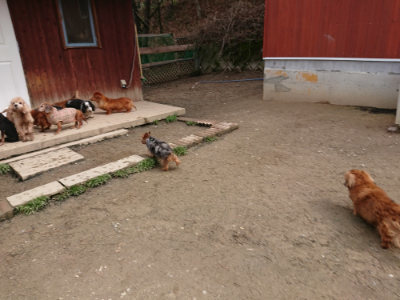 f:id:roukenhome-ann:20190403191857j:plain