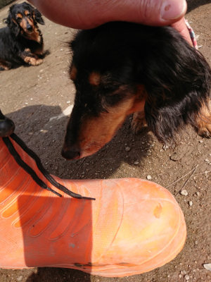 f:id:roukenhome-ann:20190403191919j:plain