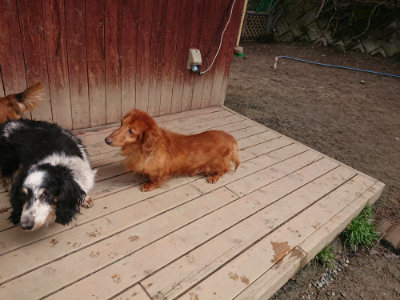f:id:roukenhome-ann:20190403191926j:plain