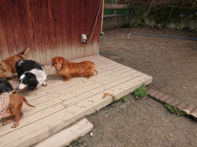 f:id:roukenhome-ann:20190403191948j:plain