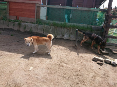 f:id:roukenhome-ann:20190403192132j:plain