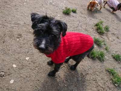 f:id:roukenhome-ann:20190403192551j:plain