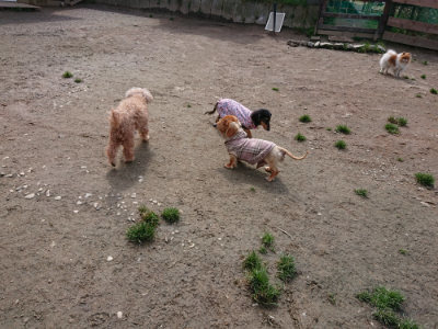 f:id:roukenhome-ann:20190403192632j:plain