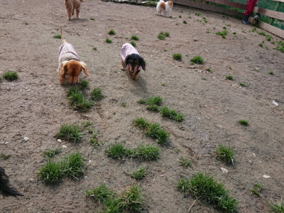 f:id:roukenhome-ann:20190403192652j:plain