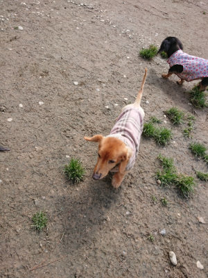 f:id:roukenhome-ann:20190403192904j:plain