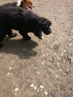 f:id:roukenhome-ann:20190403193002j:plain