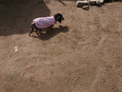 f:id:roukenhome-ann:20190403193236j:plain