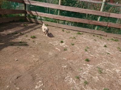 f:id:roukenhome-ann:20190403193254j:plain