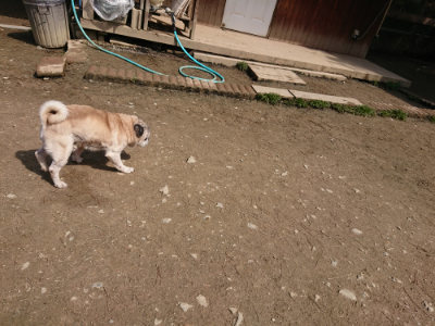 f:id:roukenhome-ann:20190403193339j:plain