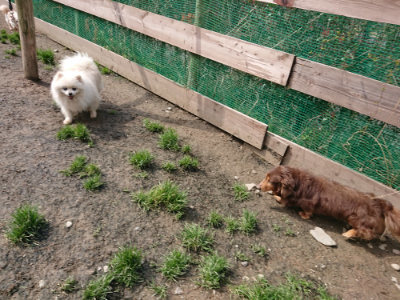f:id:roukenhome-ann:20190403193406j:plain