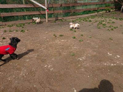 f:id:roukenhome-ann:20190403193515j:plain