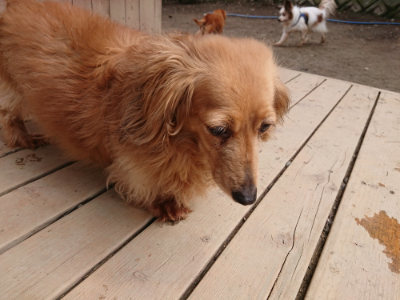 f:id:roukenhome-ann:20190403193617j:plain
