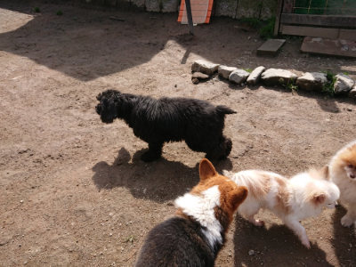 f:id:roukenhome-ann:20190403193901j:plain