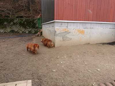 f:id:roukenhome-ann:20190403193917j:plain
