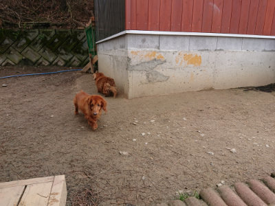 f:id:roukenhome-ann:20190403193923j:plain