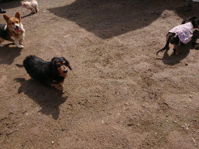 f:id:roukenhome-ann:20190403193928j:plain