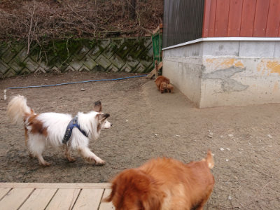 f:id:roukenhome-ann:20190403193934j:plain