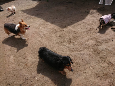 f:id:roukenhome-ann:20190403193939j:plain