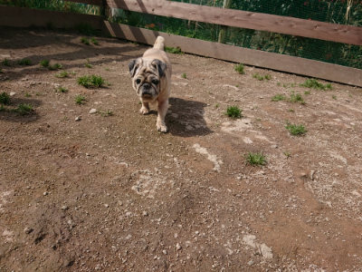 f:id:roukenhome-ann:20190403193956j:plain